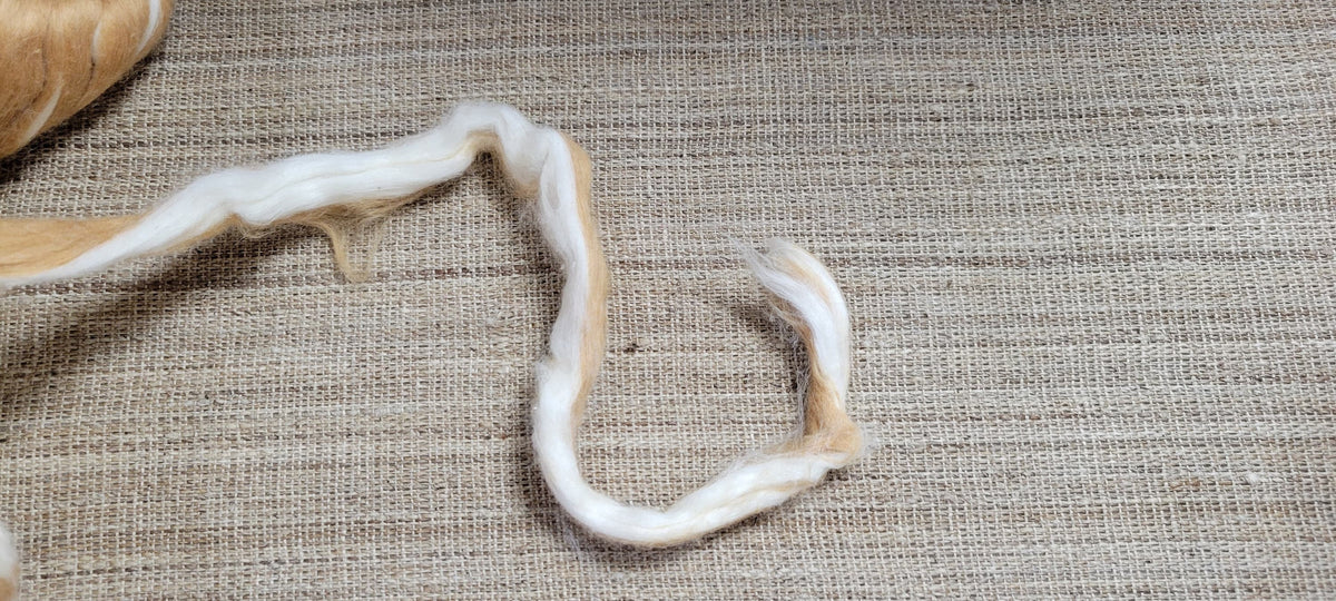 Brown + White Cotton Fiber Sliver, Combed, Natural USA Grown Color - 1 ounce