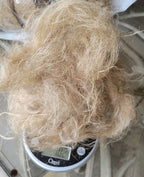 Sunflower Stalk Fiber. Un-Combed. Raw Unfinished Bundles