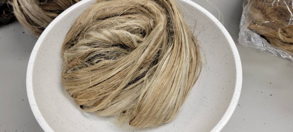 Seaweed / Macro Algae Long Fiber Bundle. 100% Natural Fiber.