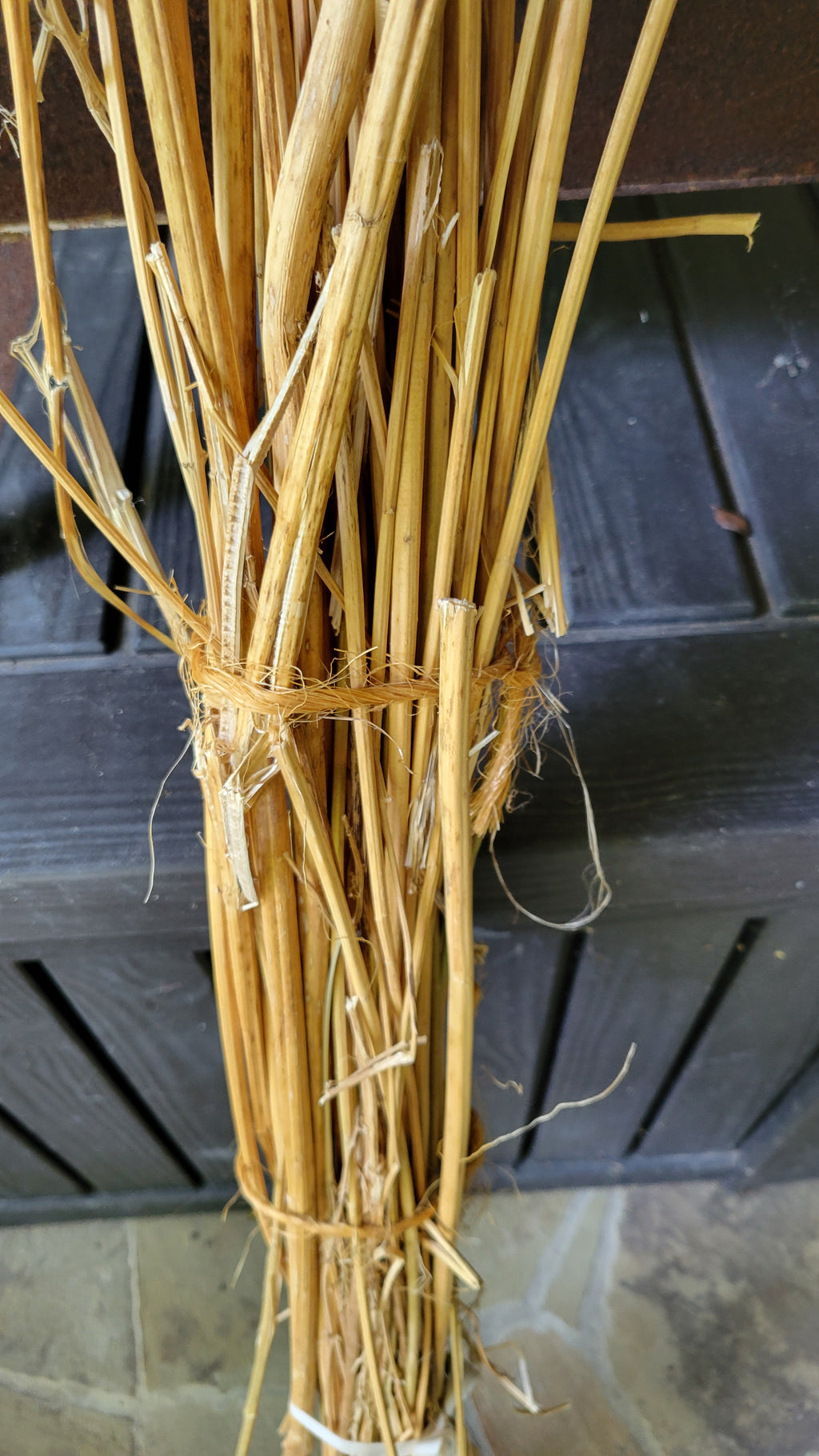Hemp Stalk Bundle. Un-Retted. Cut Green and Dried. USA Grown.