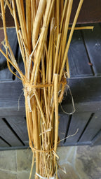 Hemp Stalk Bundle. Un-Retted. Cut Green and Dried. USA Grown.