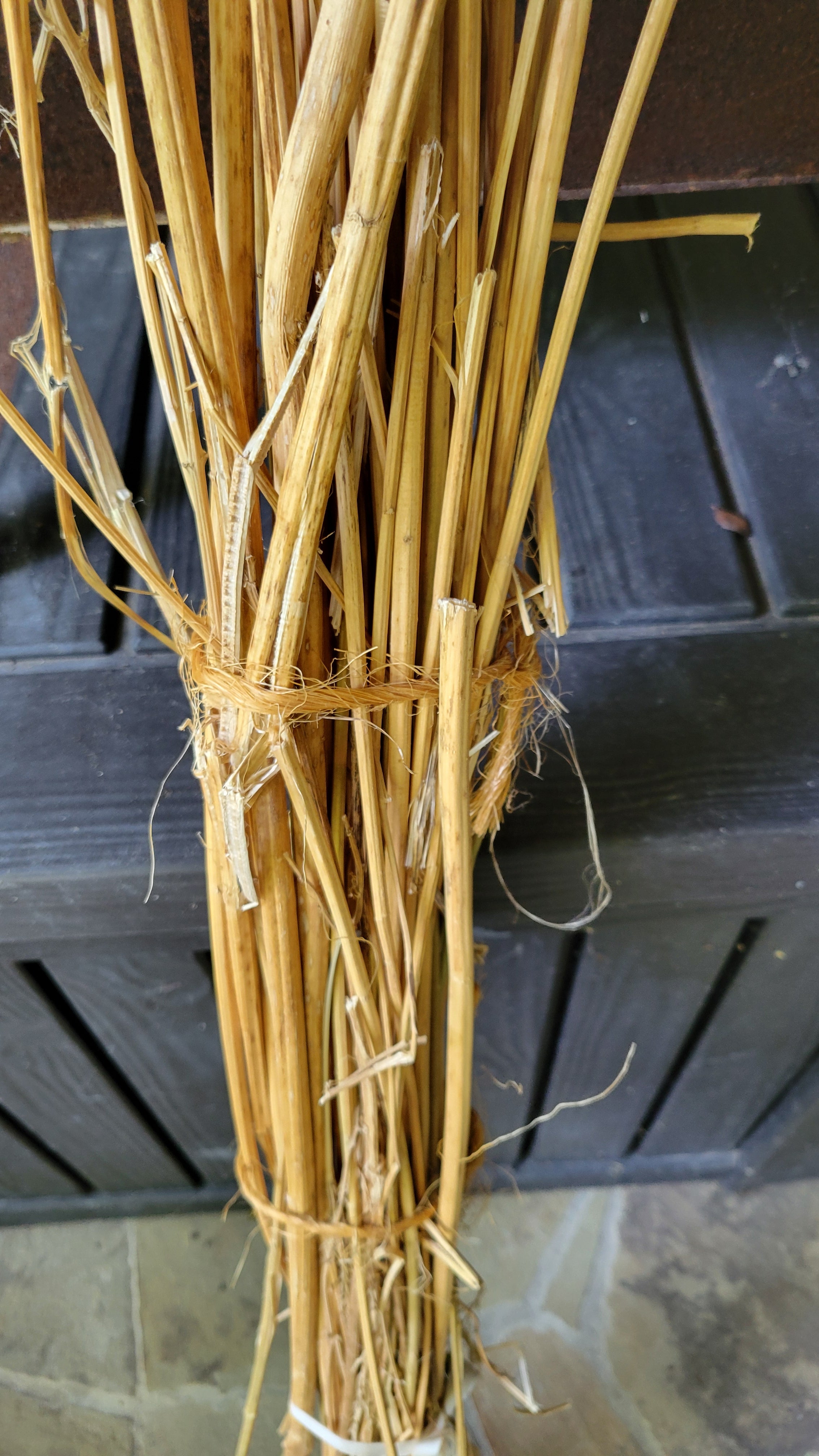 Hemp Stalk Bundle. Un-Retted. Cut Green and Dried. USA Grown.