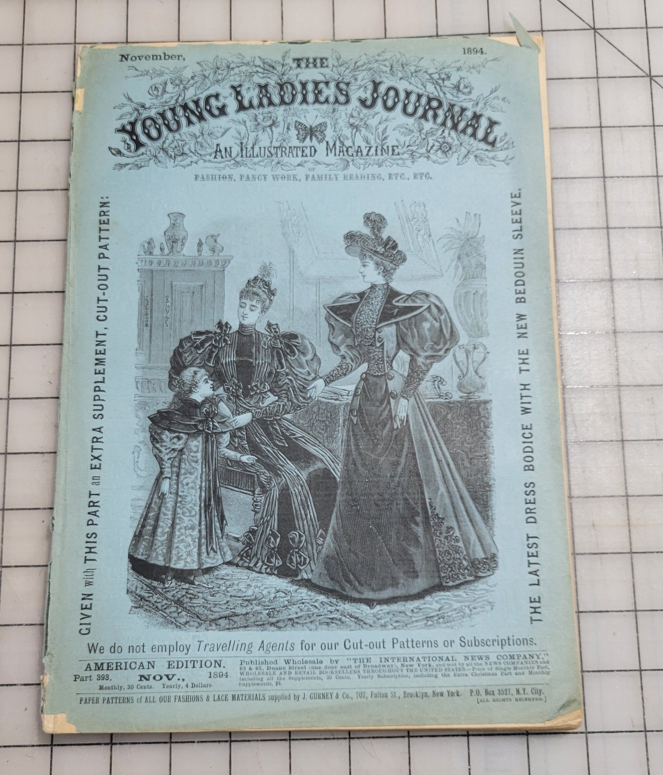 Young Ladies Journal 1894 Nov Antique Catalog Illustrated Fashion Victorian