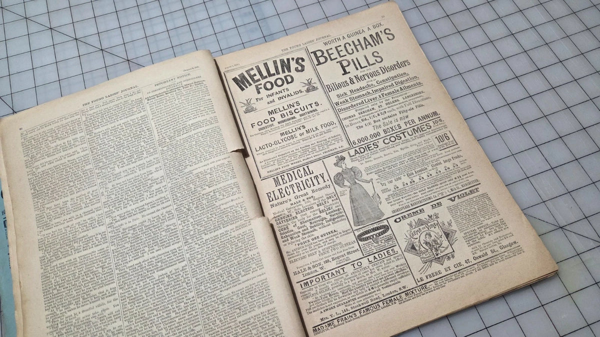 Young Ladies Journal Magazine 1895 Aug Fashion Illustrated Patterns American