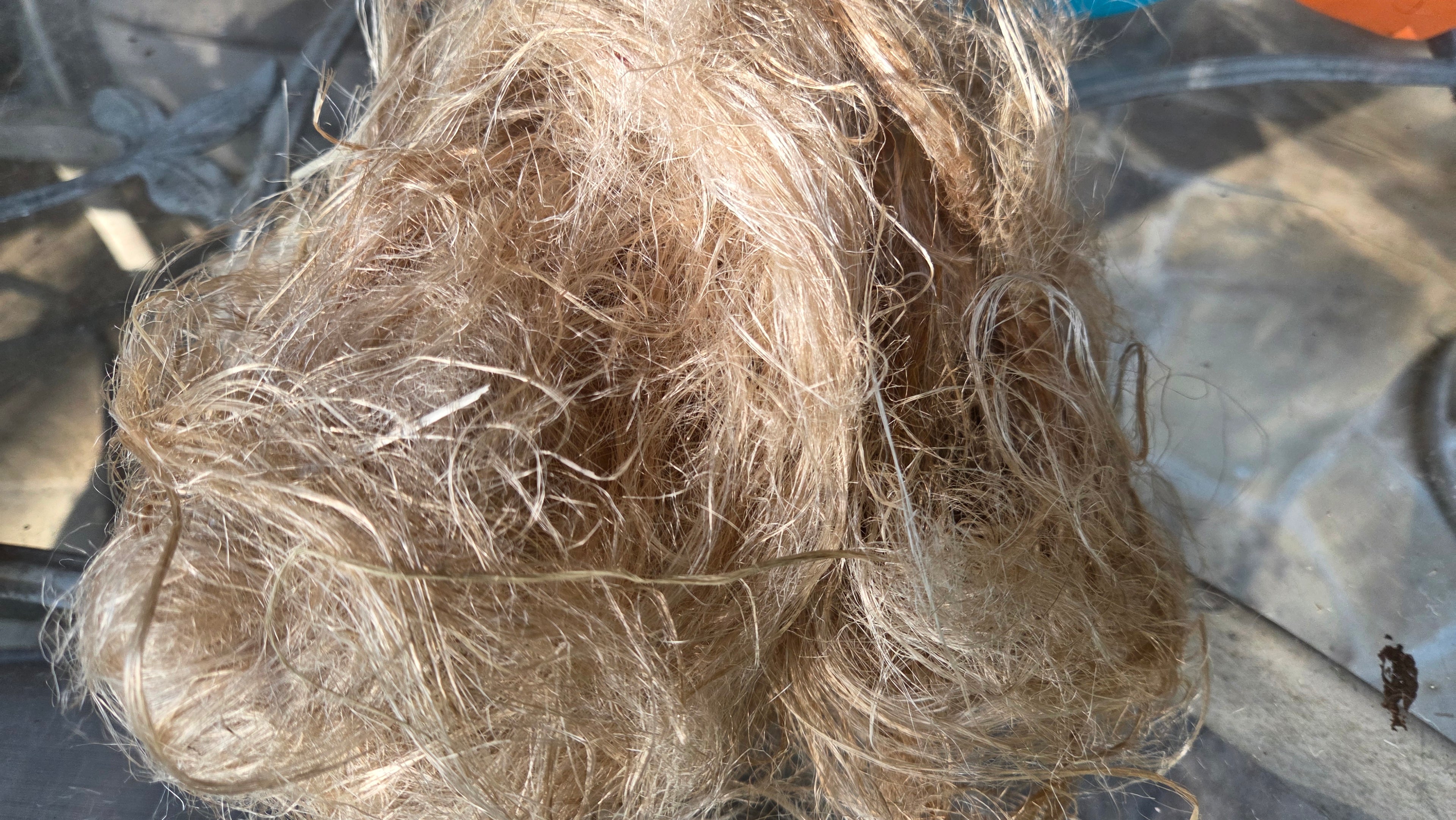 Fireweed Stalk Fiber. Un-Combed. Raw Unfinished Bundles