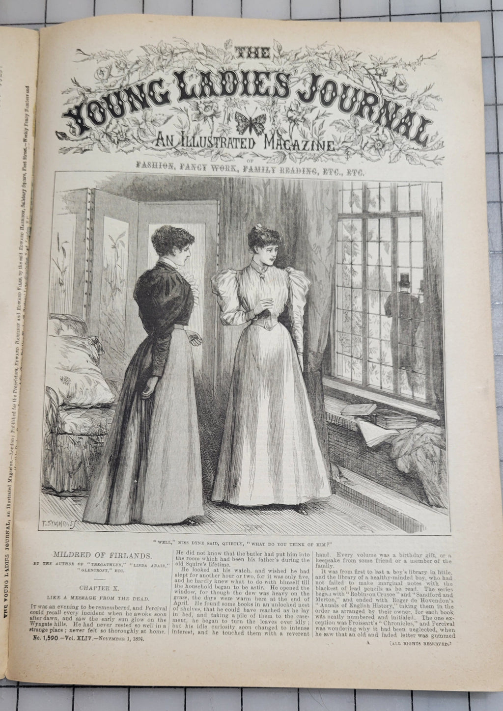 Young Ladies Journal 1894 Nov Antique Catalog Illustrated Fashion Victorian