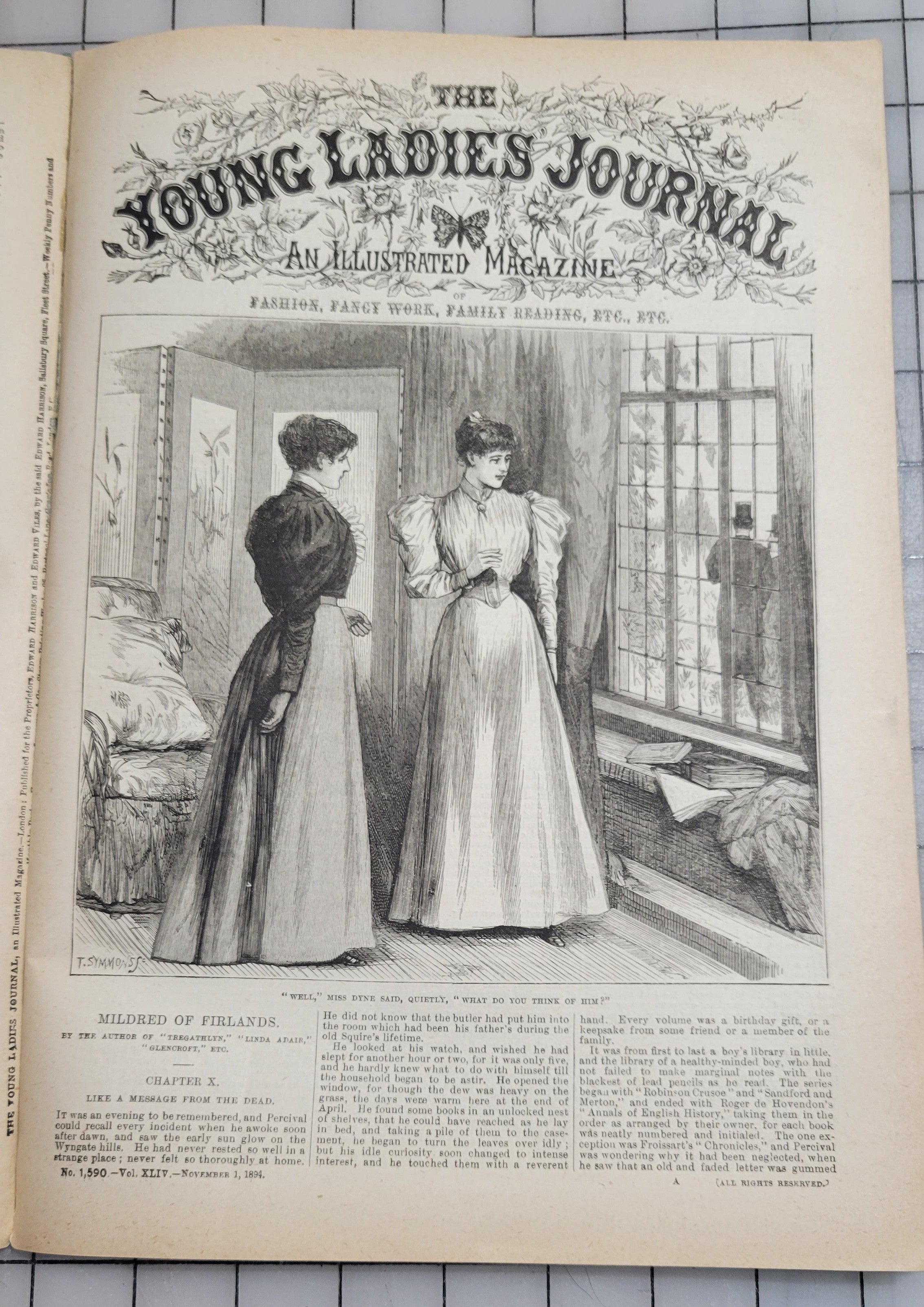 Young Ladies Journal 1894 Nov Antique Catalog Illustrated Fashion Victorian