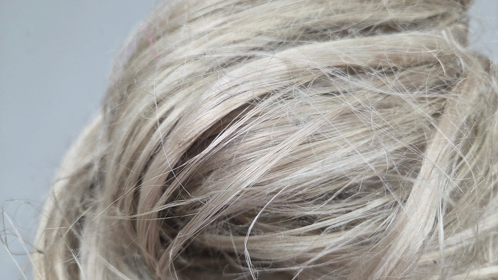 Algae Brown Seaweed Fiber Bundle. (Sargassum). Semi-Combed, Natural Fiber. Sold by Weight.