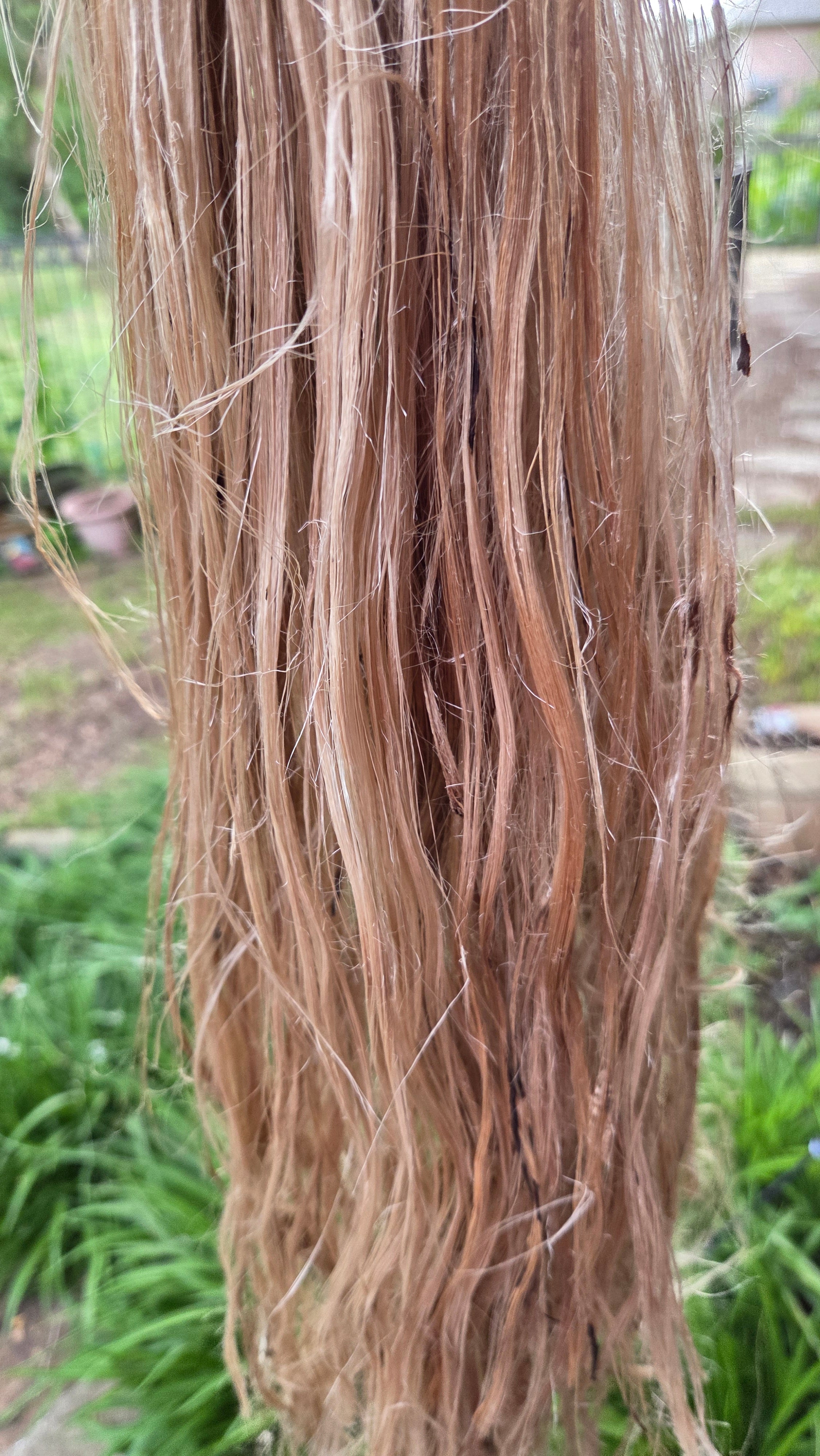 Fireweed Fiber Bundle. Natural Semi-Combed Fiber. Raw. (Chamerion angustifolium)