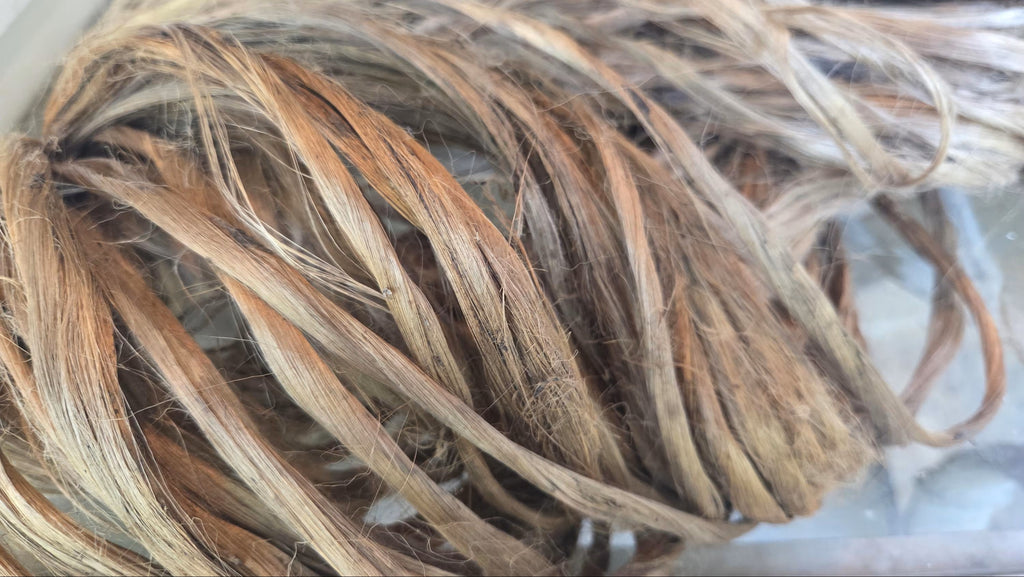 Nettle Long Fiber Bundle. Natural Semi-Combed Fiber. Raw.