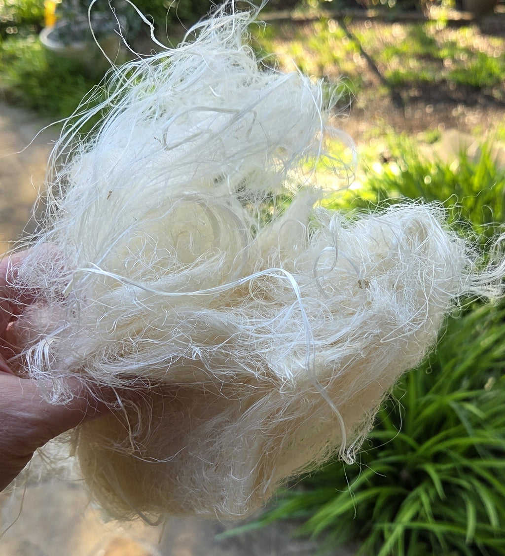 Screw Pine Stalk Fiber. Un-Combed. Raw Unfinished Bundles