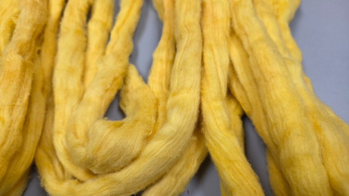 Cotton, 1/2 oz (0.5 ounce) Dyed Conventional Cotton Sliver, Small Batch Studio Dyed (Gold)