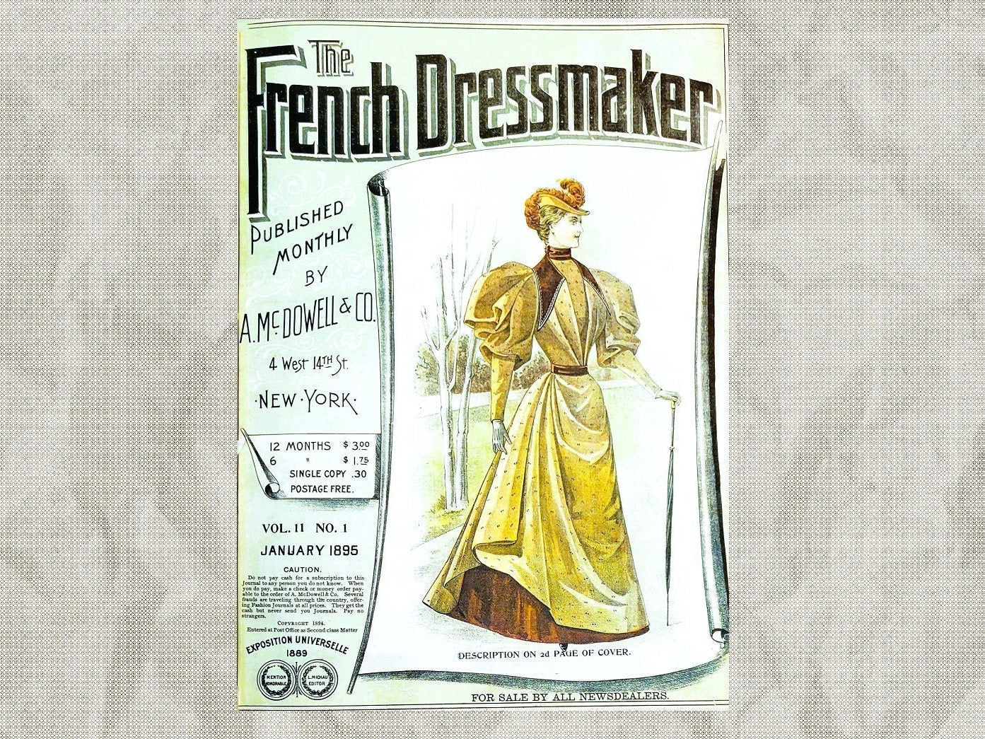 1895 The French Dressmaker January. A. McDowell & Co. Ladies' Fashion Mail Order Journal Catalog, Mail Order, E-book DOWNLOAD, Vol 11 No 1.