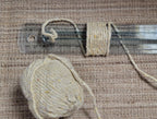 Seaweed Macro Algae Mini Skeins Yarn Natural. 25 Yards. Great for Kitting, Crochet, Weaving, Craft, Fiber Arts.
