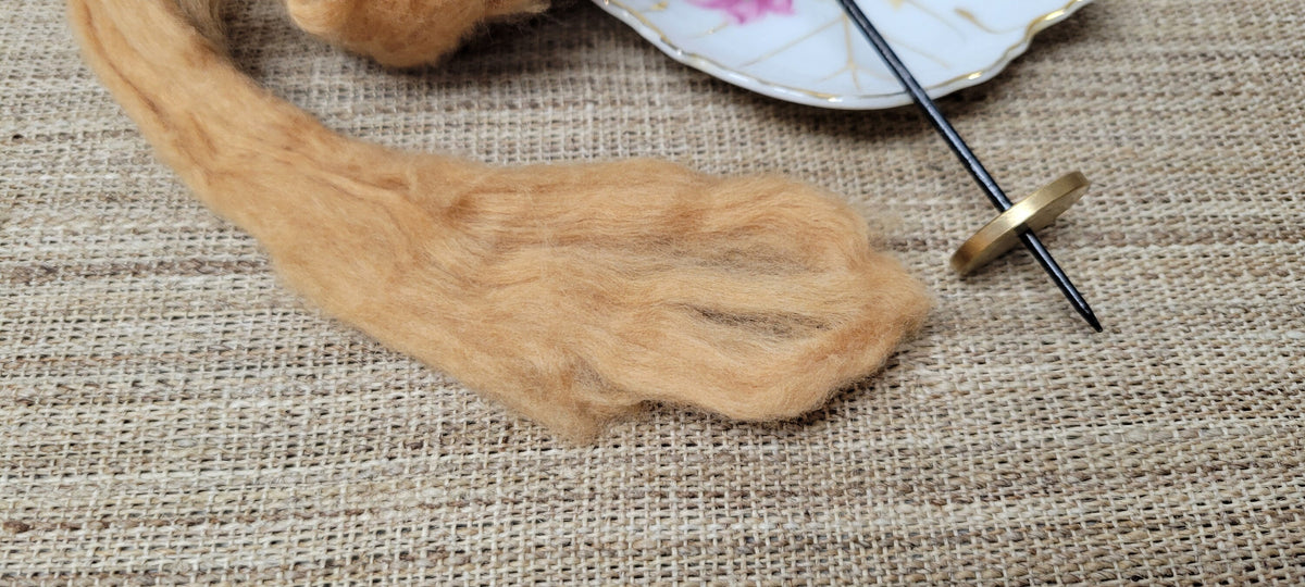Brown Cotton USA Grown Natural Fiber Sliver, Light Brown Color. Great Gift Idea for Spinner, Weaver and Fiber Artist, Artists, ect.