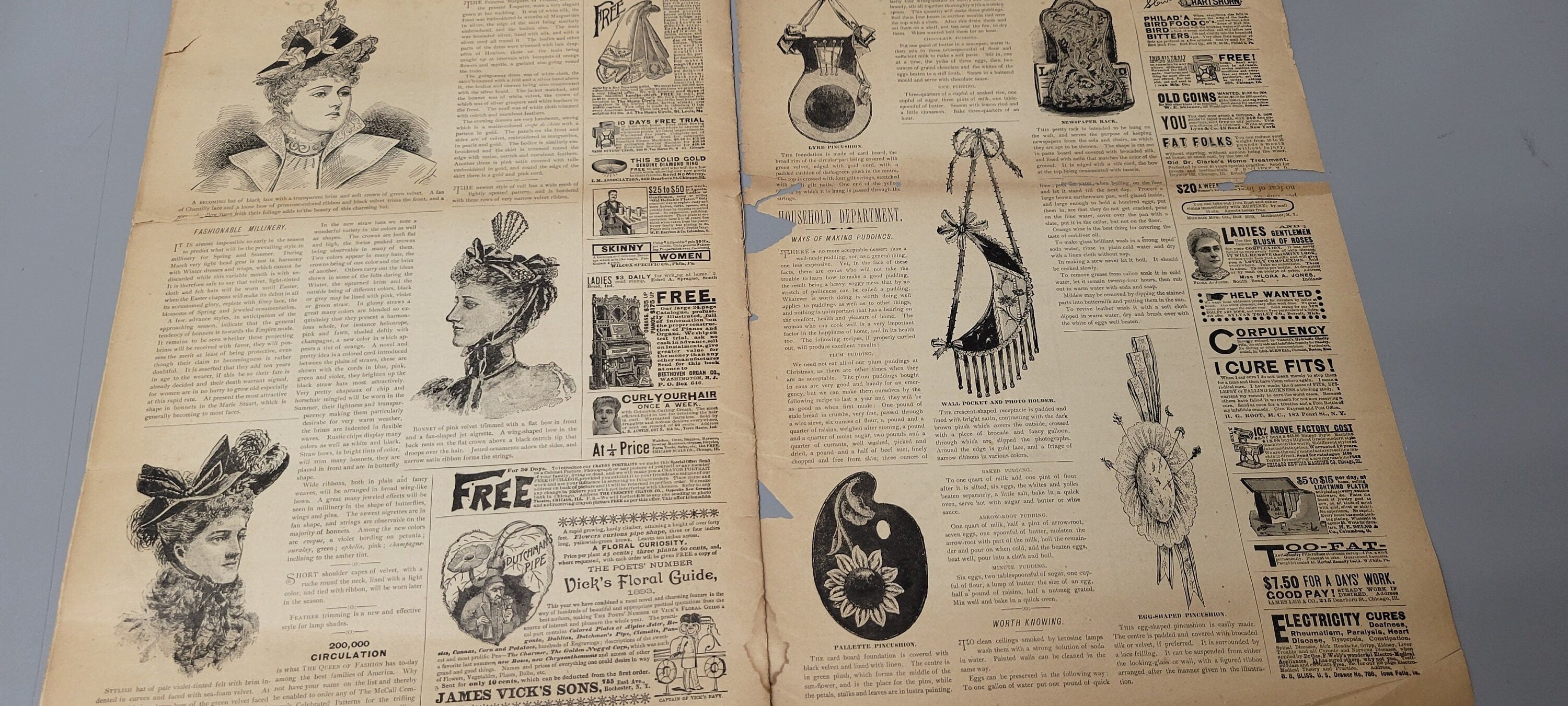 Rare 1893 The Queen of Fashion Paper March. New York Ladies' Fashion Pattern Journal Catalog, Mail Order, Original, Vol 20 No 7.