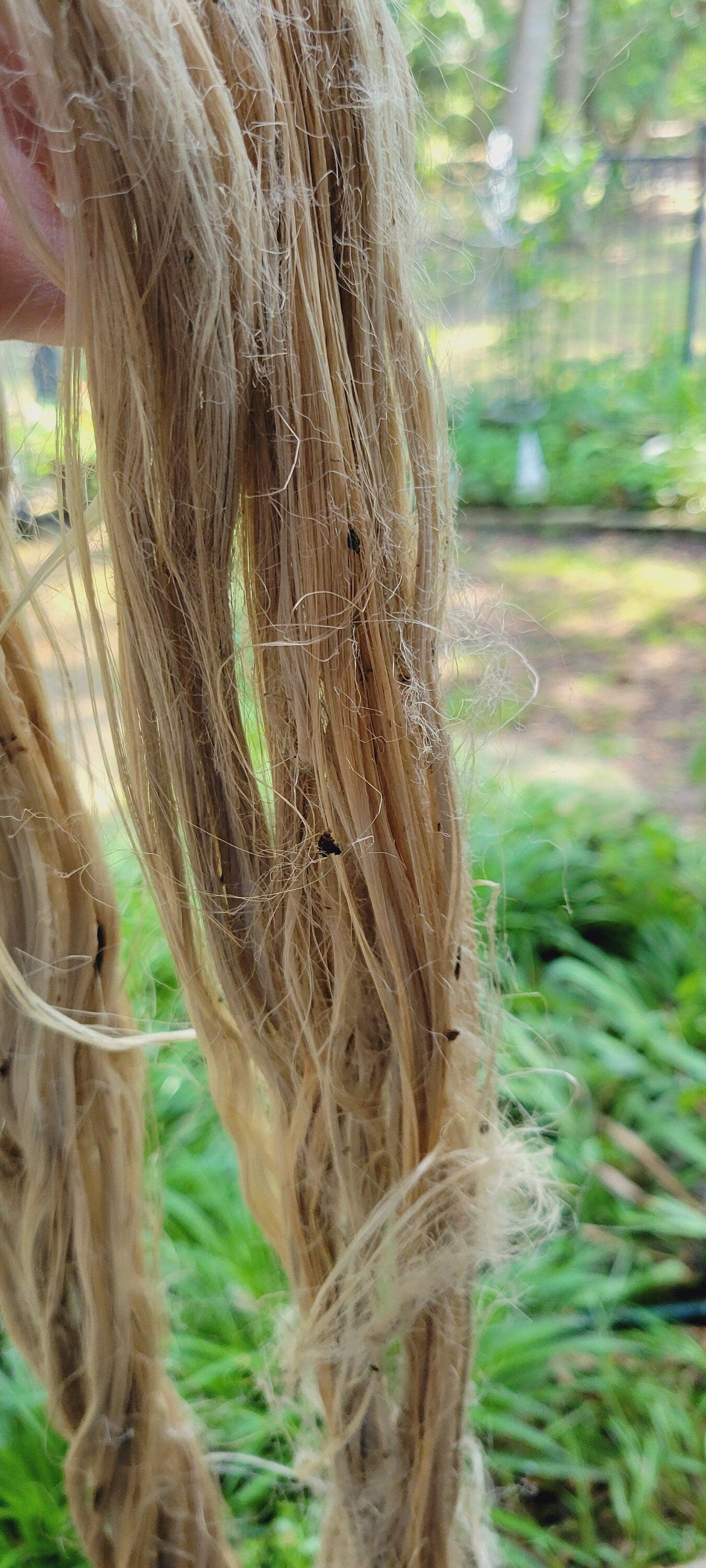 Ramie Fiber Bundle. 100% Natural Fiber. Great for Basketry, Knitting, Weaving, Fiber Arts, ect