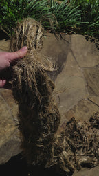 Kenaf Long Fiber Bundle. Natural Semi-Combed Fiber. 1 ounce.