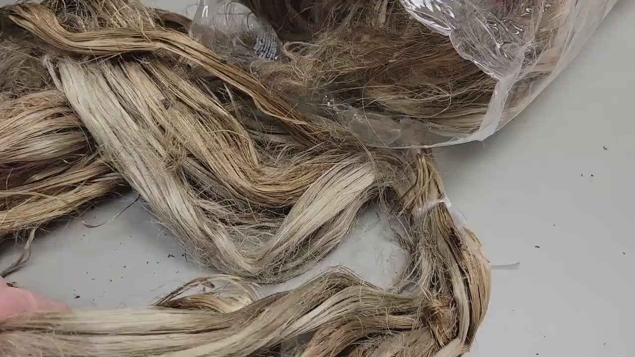 Seaweed / Macro Algae Long Fiber Bundle. 100% Natural Fiber