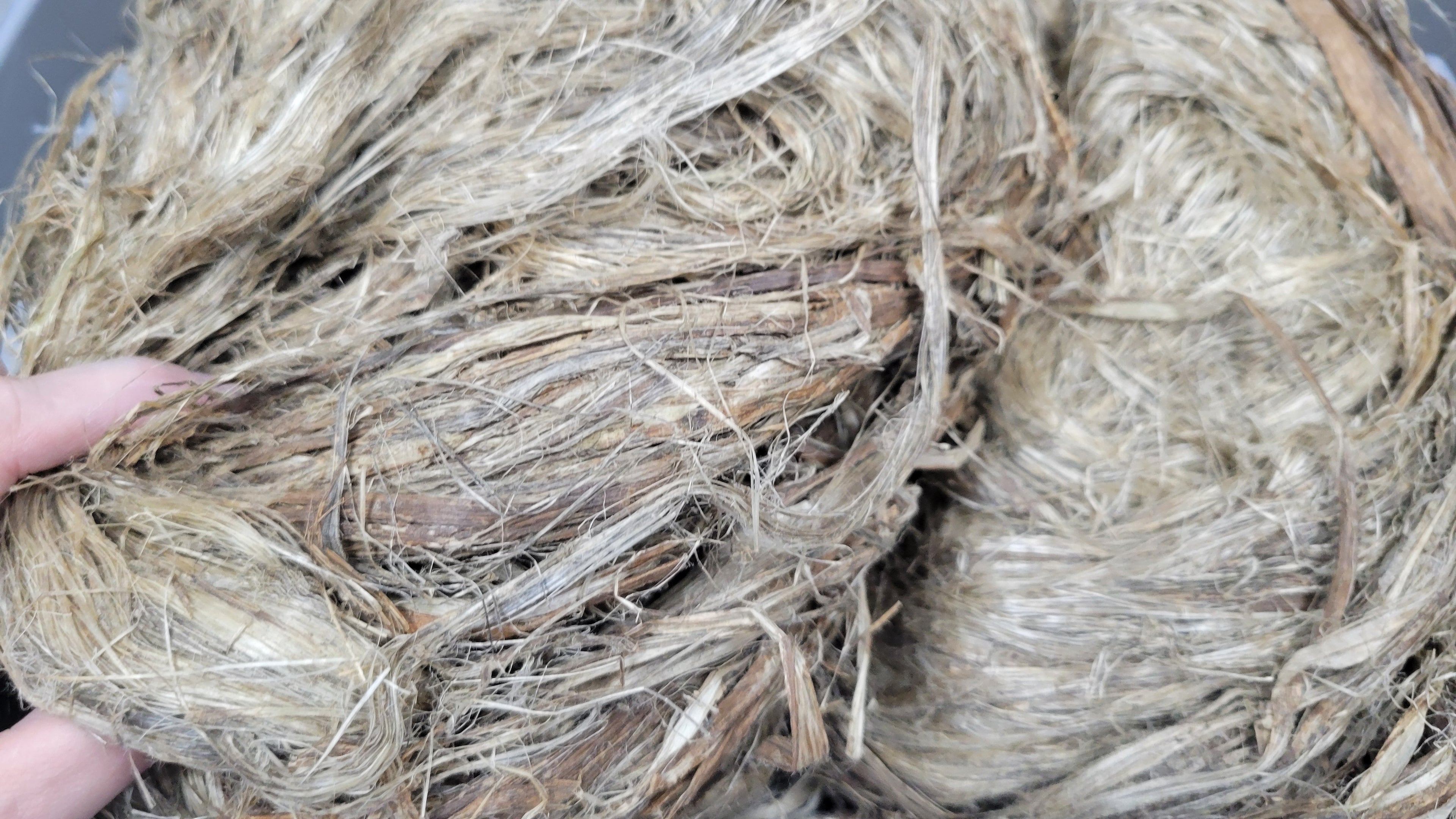 Kenaf Long Fiber Bundle. Natural Semi-Combed Fiber. 1 ounce.