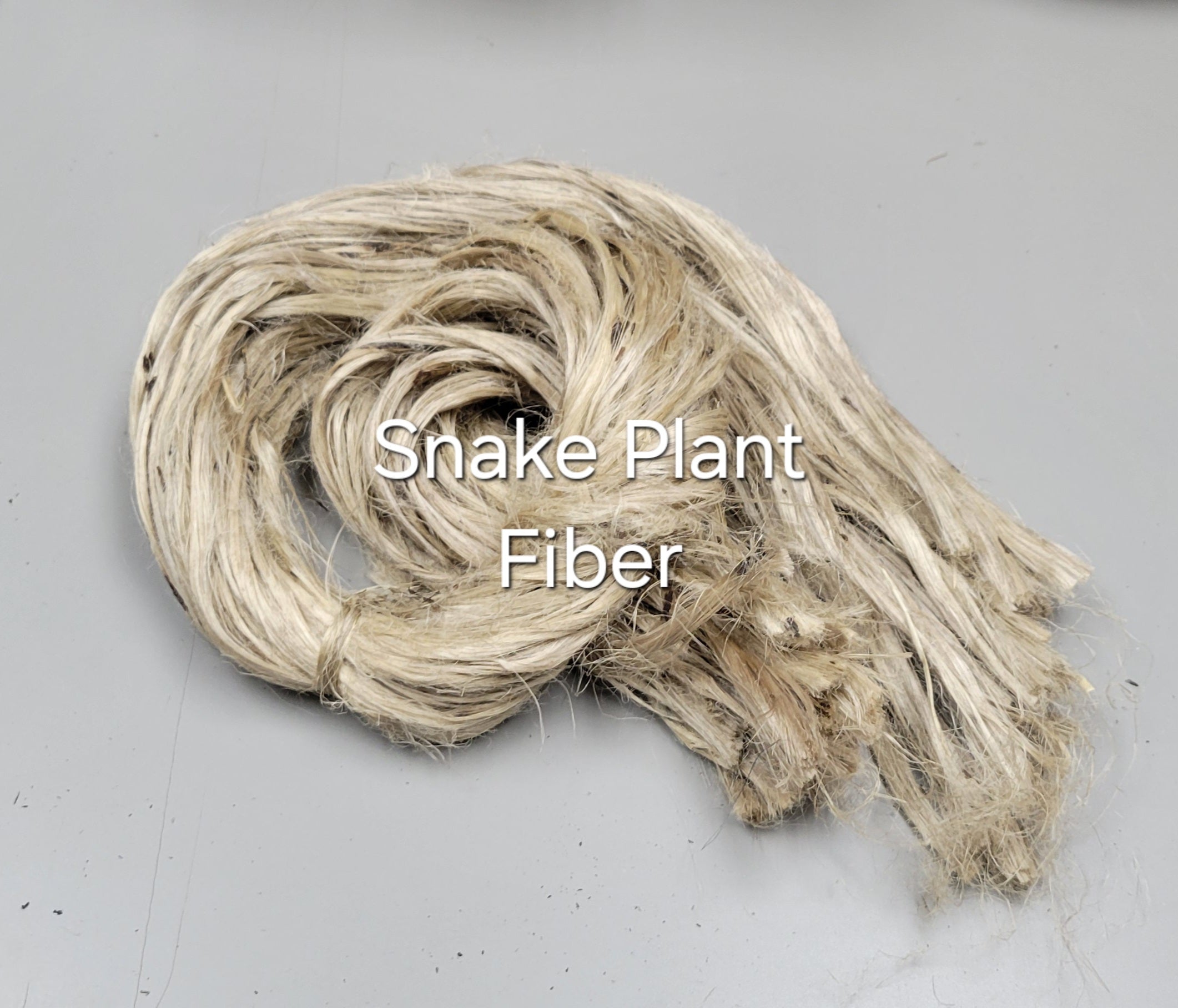 Snake Plant Leaf Long Fiber Bundle. 100% Natural Semi-Combed Fiber ...