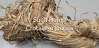 Sunn Hemp Fiber. Natural Raw Un-Combed Textile Bundles.