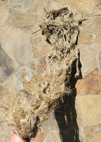 Kenaf Long Fiber Bundle. Natural Semi-Combed Fiber. 1 ounce.